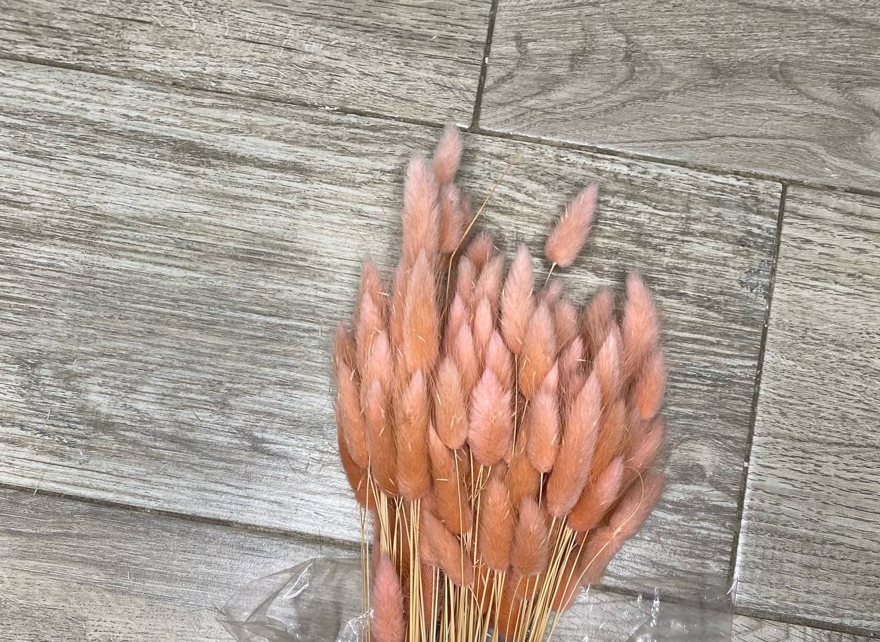 Fleurs séchées colorées