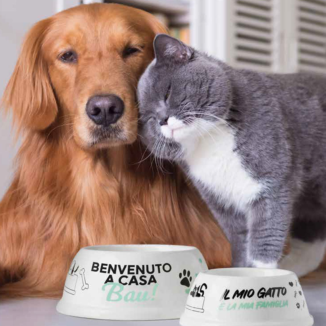 Ciotola Personalizzata Cane e Gatto con Nome